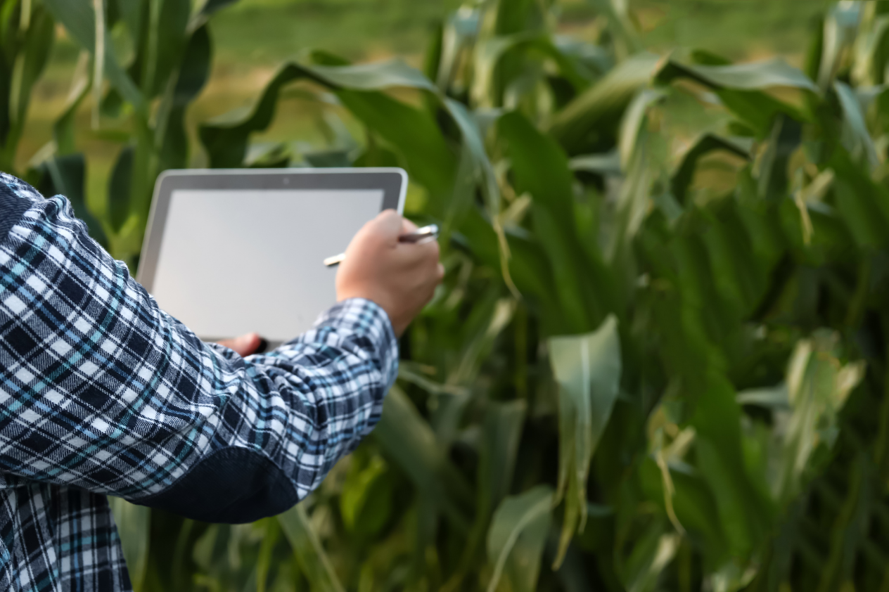 Operación en tiempo real